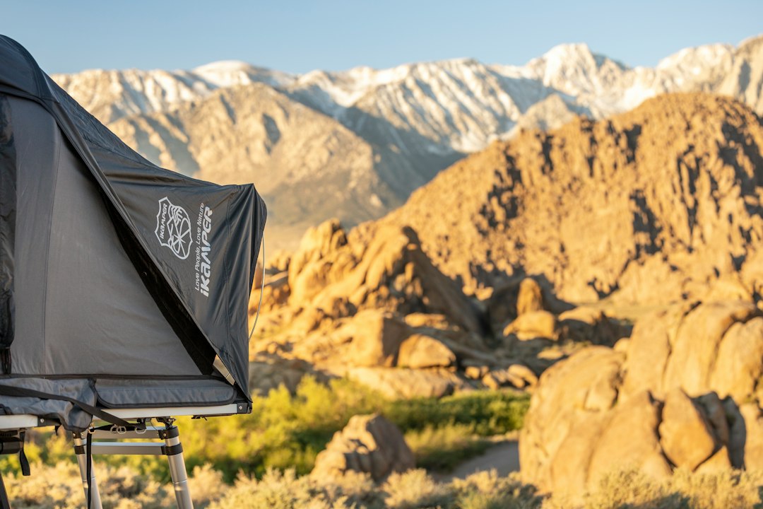 Wild Bush Camping Setup