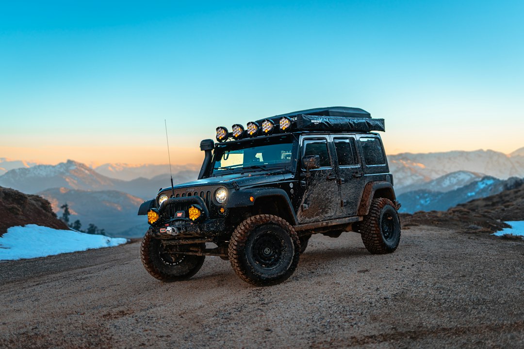 Expedition & Overland Fleets
