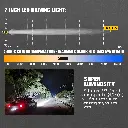 light fox1.webp