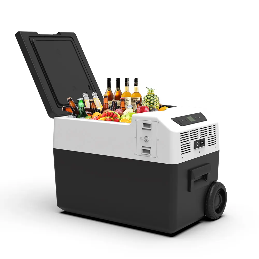 car fridge.webp